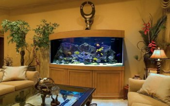 Подводное царство в домашних условиях